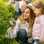 Local Farm Fun for Busy Moms